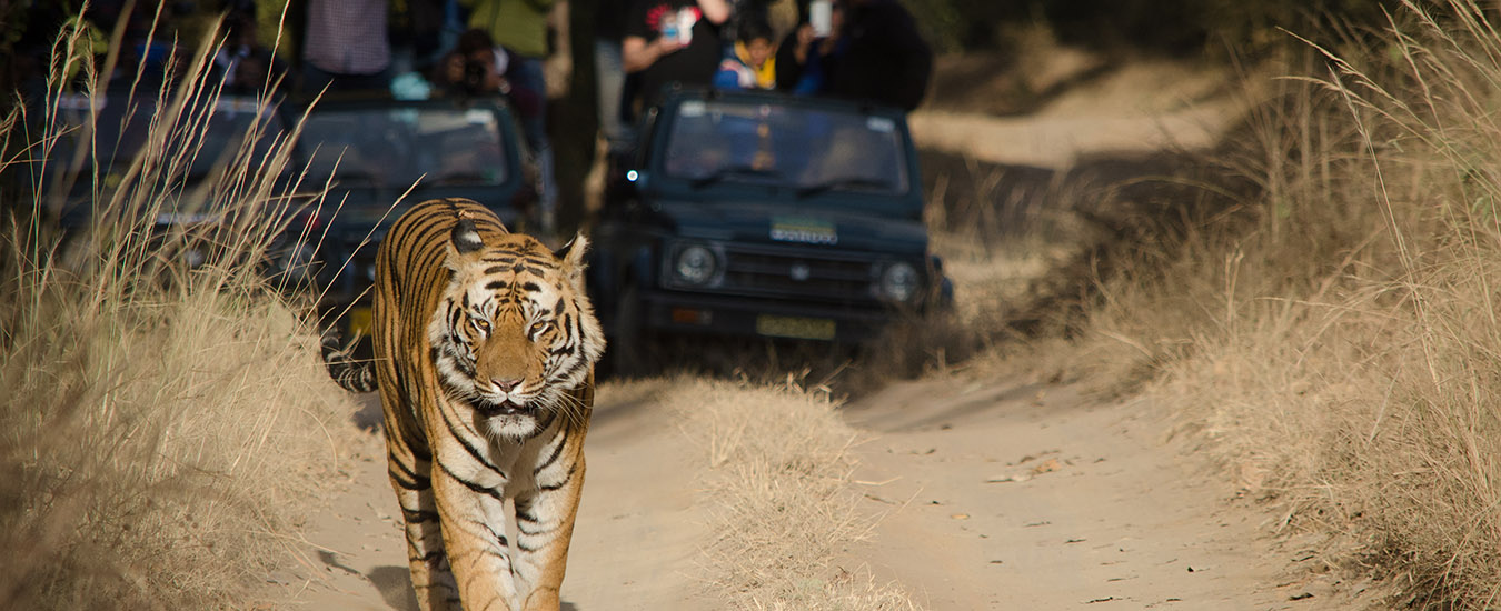 Shoolpaneshwar Wildlife Sanctuary